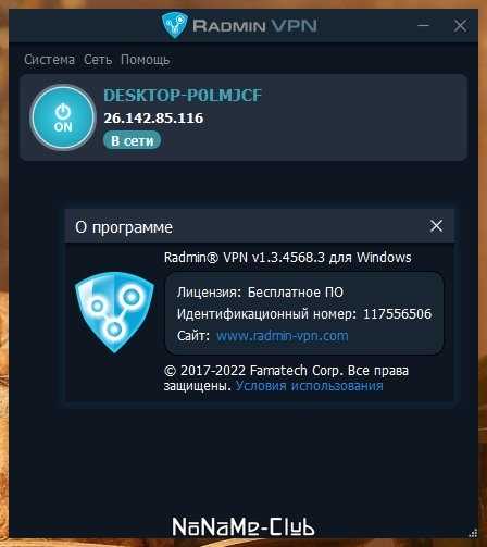 Как скачать Radmin VPN 1.3.4568.3 на ПК